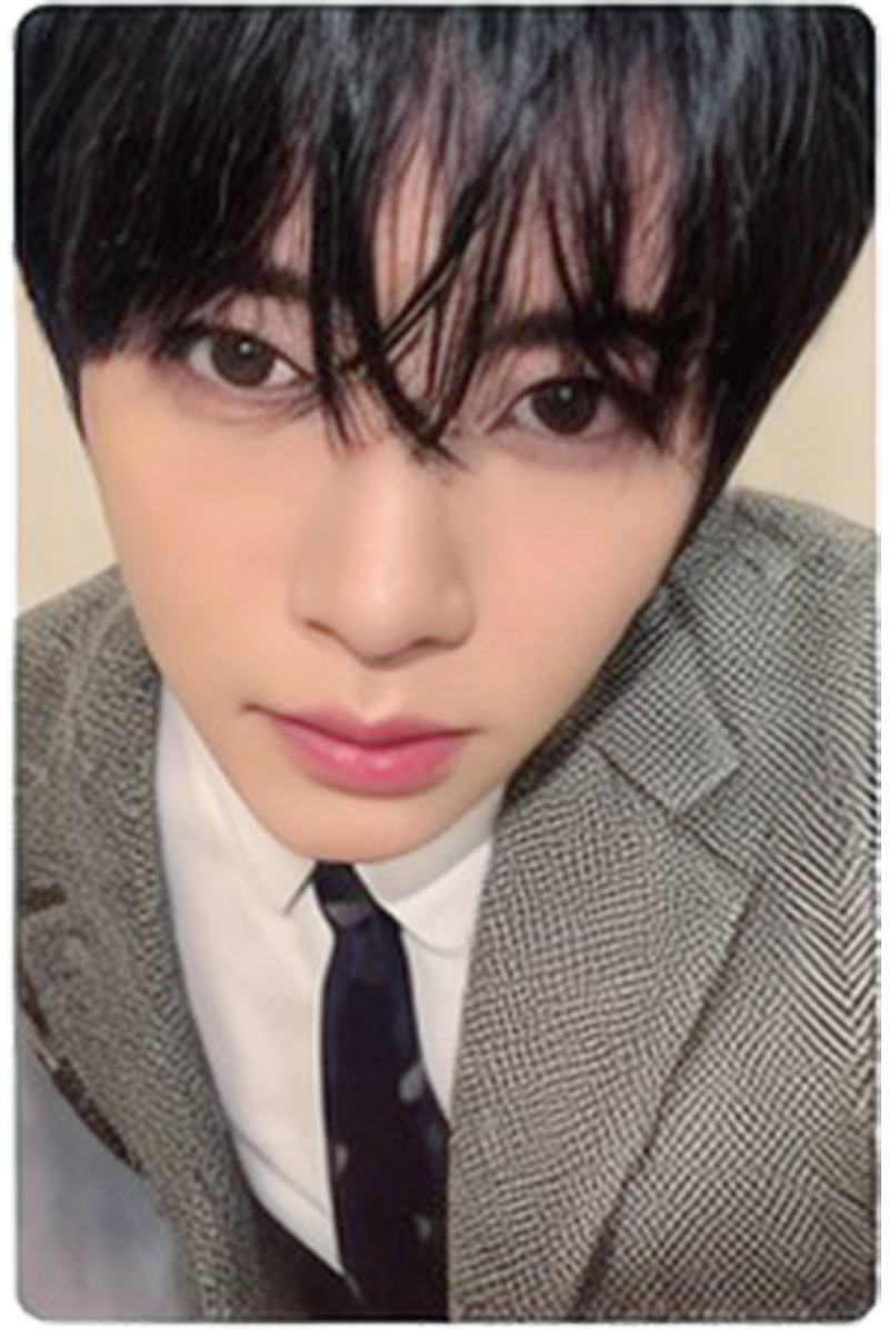 样式演示卡片